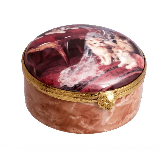 Kittens Delight for Cat Lovers Porcelain Limoges cat cats French Trinket Box