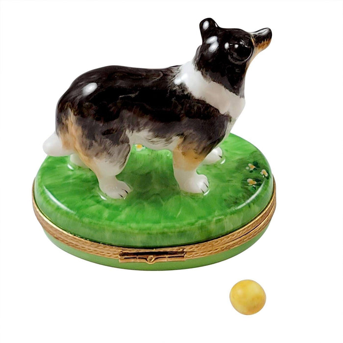 Sheltie Limoges Box for Dog Lovers Porcelain Limoges dog French Trinket Box