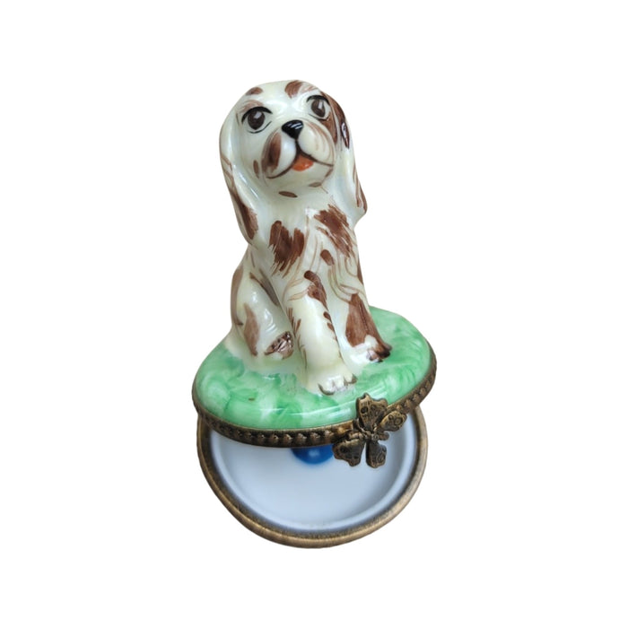 Spotted Dog Limoges Box for Dog Lovers Porcelain Limoges dog LIMOGES BOXES French Trinket Box
