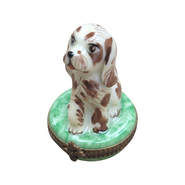 Spotted Dog Limoges Box for Dog Lovers Porcelain Limoges dog LIMOGES BOXES French Trinket Box