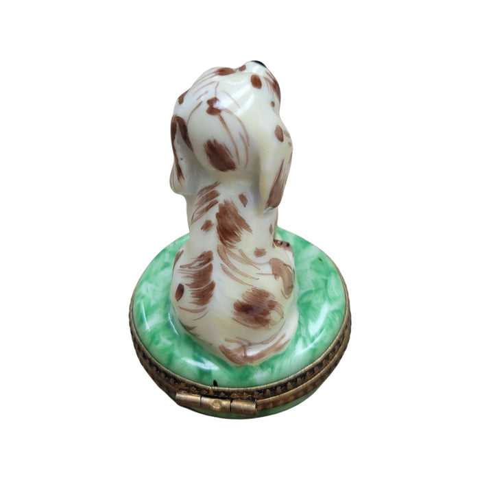 Spotted Dog Limoges Box for Dog Lovers Porcelain Limoges dog LIMOGES BOXES French Trinket Box