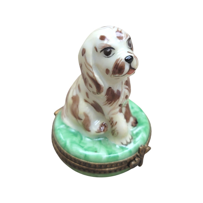 Spotted Dog Limoges Box for Dog Lovers Porcelain Limoges dog LIMOGES BOXES French Trinket Box