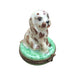 Spotted Dog Limoges Box for Dog Lovers Porcelain Limoges dog LIMOGES BOXES French Trinket Box