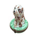 Spotted Dog-dog LIMOGES BOXES-CH6D130
