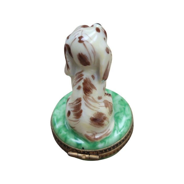 Spotted Dog-dog LIMOGES BOXES-CH6D130