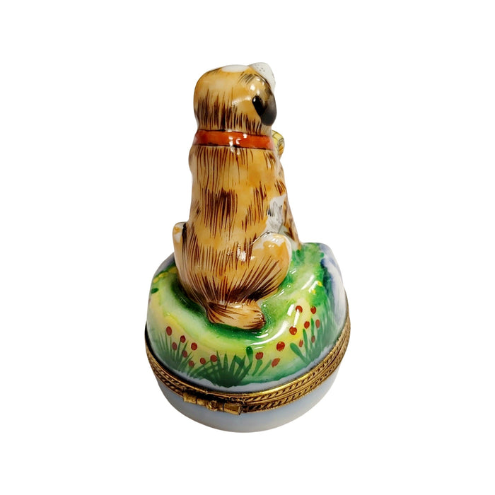 St Bernard Dog Limoges Box for Dog Lovers Porcelain Limoges dog limoges boxes French Trinket Box