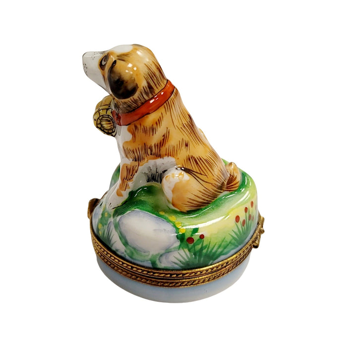St Bernard Dog Limoges Box for Dog Lovers Porcelain Limoges dog limoges boxes French Trinket Box