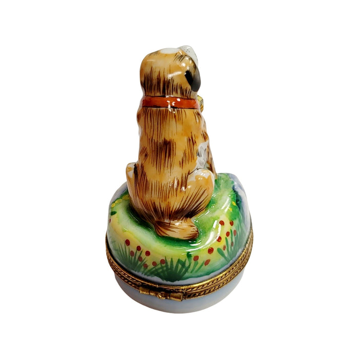 St Bernard Dog Limoges Box for Dog Lovers Porcelain Limoges dog limoges boxes French Trinket Box