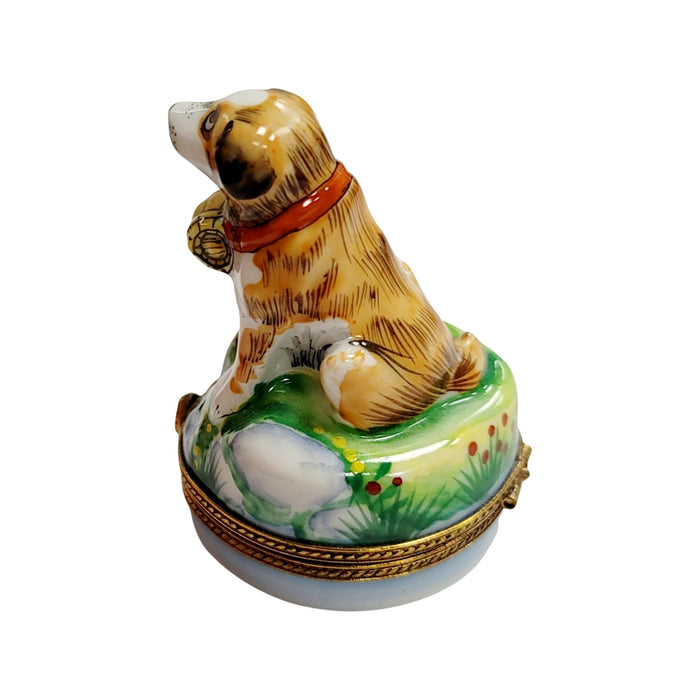 St Bernard Dog Limoges Box for Dog Lovers Porcelain Limoges dog limoges boxes French Trinket Box