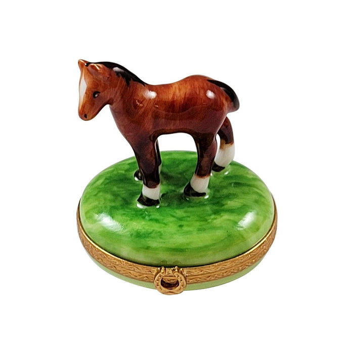 Mini Horse Limoges Box for Equestrian Enthusiasts Porcelain Limoges horse French Trinket Box