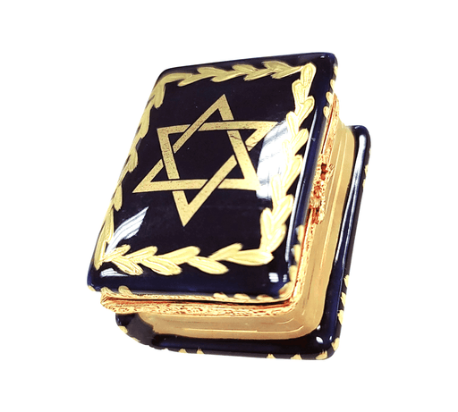 Star of David Porcelain Box for Judaica Collectors Porcelain Limoges jewish French Trinket Box