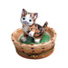 Tabby Cat in Basket-cat cats limoge box-CH9J124