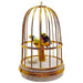 Tanagers In Cage Limoges Box for Bird Lovers Porcelain Limoges bird birds French Trinket Box