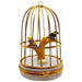 Tanagers In Cage Limoges Box for Bird Lovers Porcelain Limoges bird birds French Trinket Box