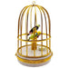 Tanagers In Cage Limoges Box for Bird Lovers Porcelain Limoges bird birds French Trinket Box