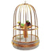 Tanagers In Cage Limoges Box for Bird Lovers Porcelain Limoges bird birds French Trinket Box