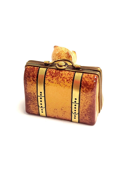 Teddy Bear Adventure Box for Kids Porcelain Limoges Teddy French Trinket Box