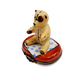 Teddy Bear Dreams Limoges Box for Baby Shower Porcelain Limoges Teddy French Trinket Box