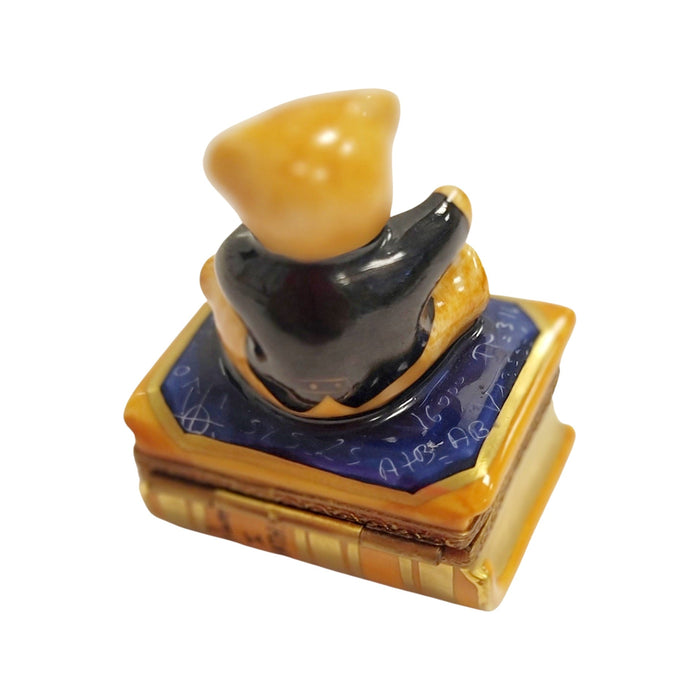 Teddy Bear Scholar Limoges Box for Graduation Gift Porcelain Limoges Teddy professional French Trinket Box