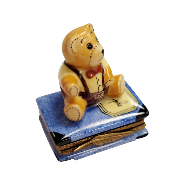 Teddy Bear on Blue Book — {{ shop }}