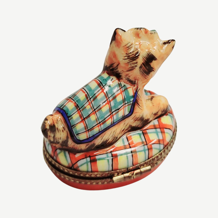 Terrier or Yorkshire Dog on Plaid-dog-CH3S221