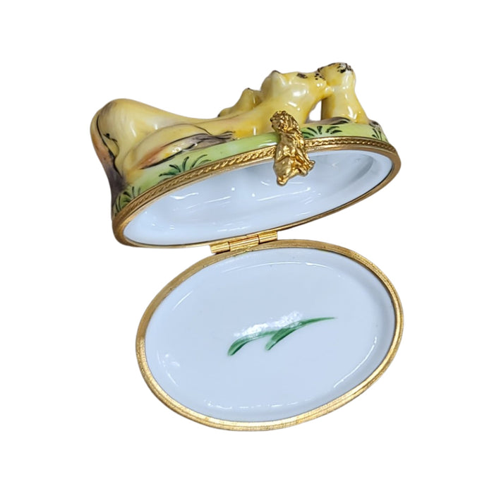 Majestic Mountain Lions for Collectors Porcelain Limoges cat wild French Trinket Box