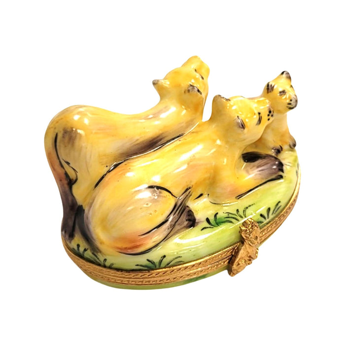Majestic Mountain Lions for Collectors Porcelain Limoges cat wild French Trinket Box