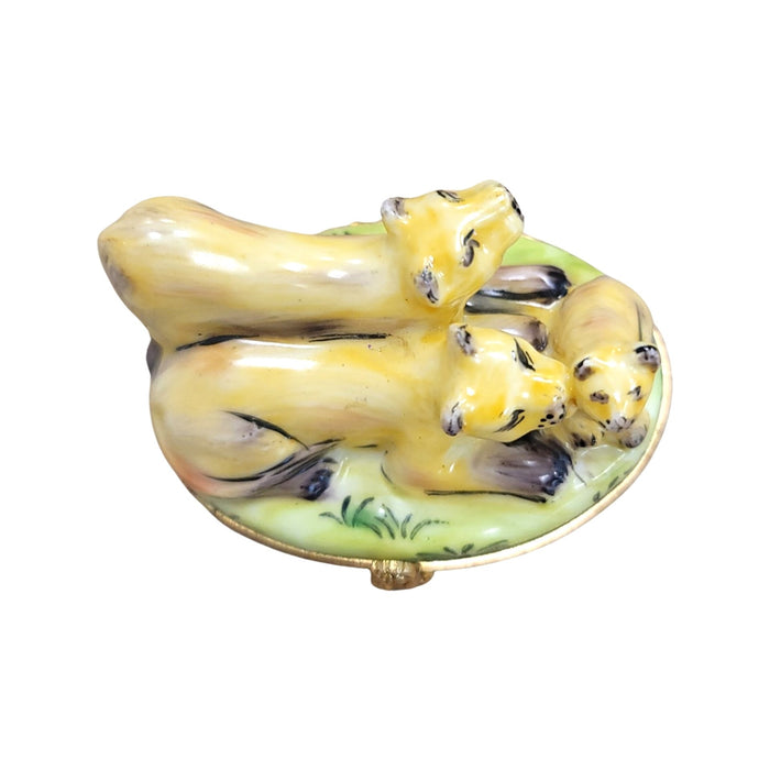 Majestic Mountain Lions for Collectors Porcelain Limoges cat wild French Trinket Box