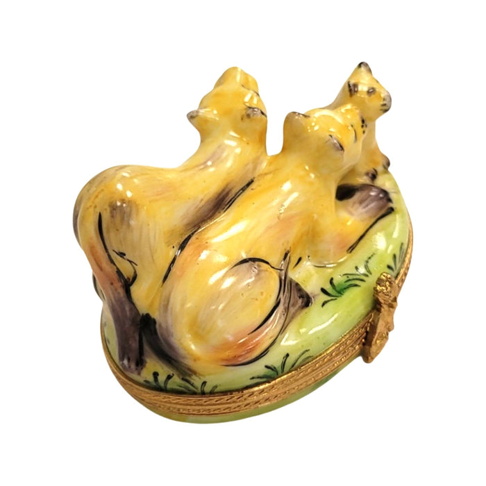 Majestic Mountain Lions for Collectors Porcelain Limoges cat wild French Trinket Box