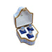 Elegant Perfume Box for Sophisticated Collectors Porcelain Limoges perfume French Trinket Box