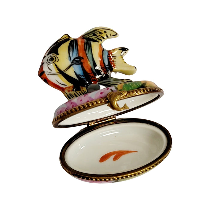 Tropical Fish Limoges Box Delight for Home Décor Porcelain Limoges fish ocean beach LIMOGES BOXES French Trinket Box