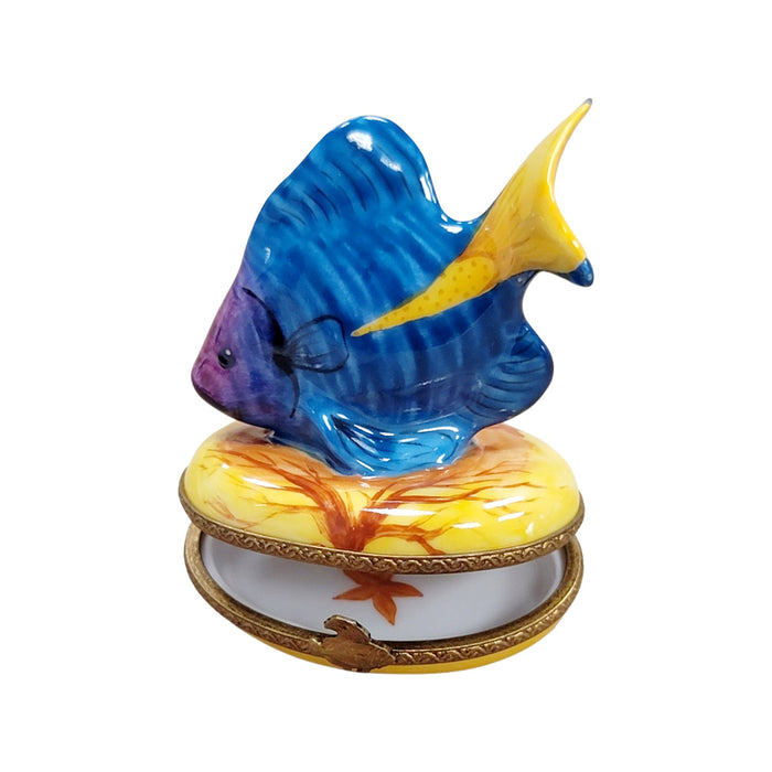Tropical Fish Limoges Box for Collectors Porcelain Limoges fish ocean beach LIMOGES BOXES French Trinket Box