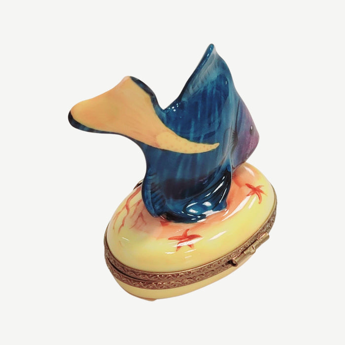 Tropical Fish Limoges Box for Collectors Porcelain Limoges fish ocean beach LIMOGES BOXES French Trinket Box