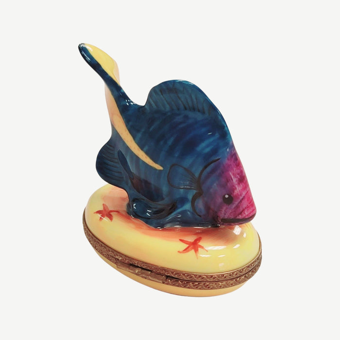 Tropical Fish Limoges Box for Collectors Porcelain Limoges fish ocean beach LIMOGES BOXES French Trinket Box