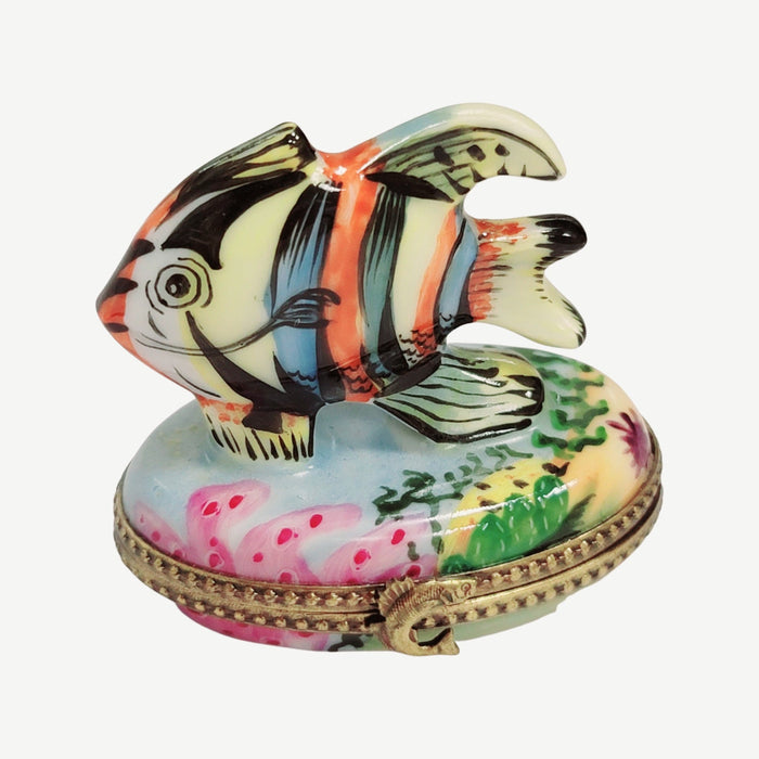 Tropical Fish Limoges Box Delight for Home Décor Porcelain Limoges fish ocean beach LIMOGES BOXES French Trinket Box