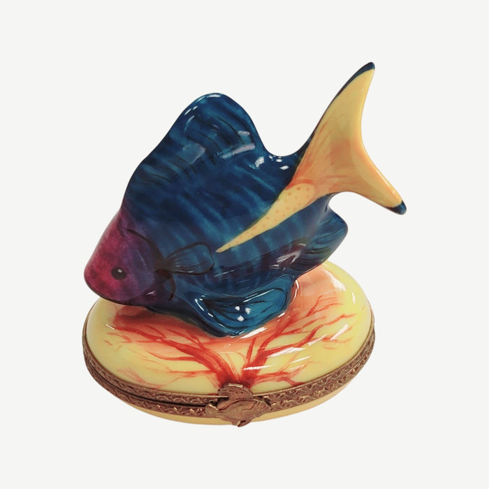 Tropical Fish Limoges Box for Collectors Porcelain Limoges fish ocean beach LIMOGES BOXES French Trinket Box