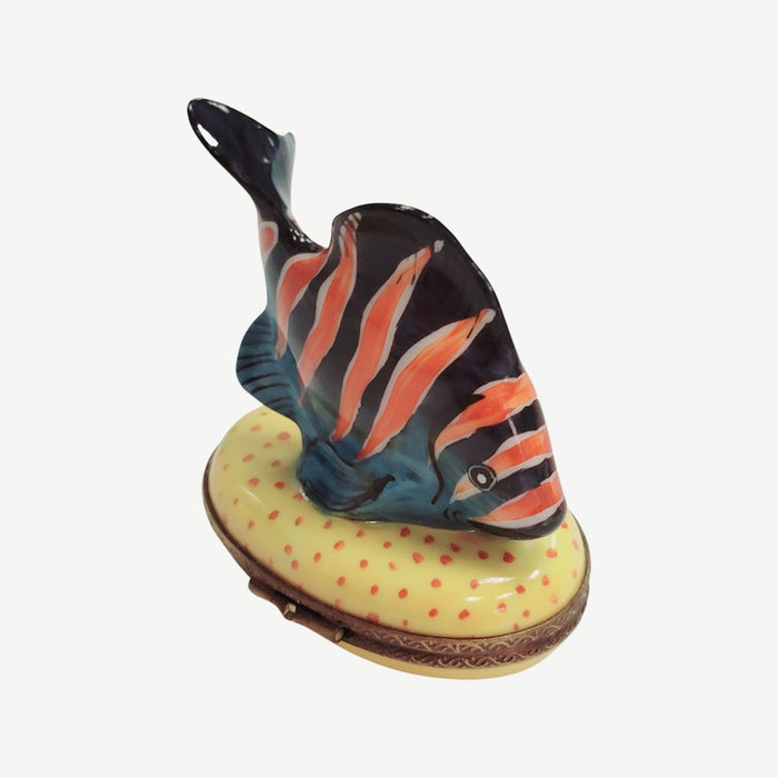 Tropical Fish Limoges Box Porcelain Figurine-fish ocean beach LIMOGES BOXES-CH2P248B