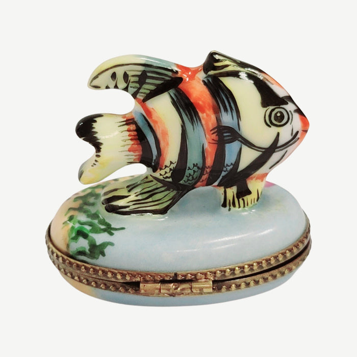 Tropical Fish Limoges Box Porcelain Figurine-fish ocean beach LIMOGES BOXES-CH3S323