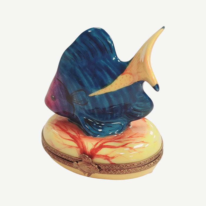 Tropical Fish Limoges Box Porcelain Figurine-fish ocean beach LIMOGES BOXES-CH2P248A