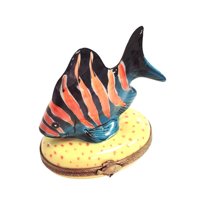 Tropical Fish Limoges Box for Collectors Porcelain Limoges fish ocean beach LIMOGES BOXES French Trinket Box