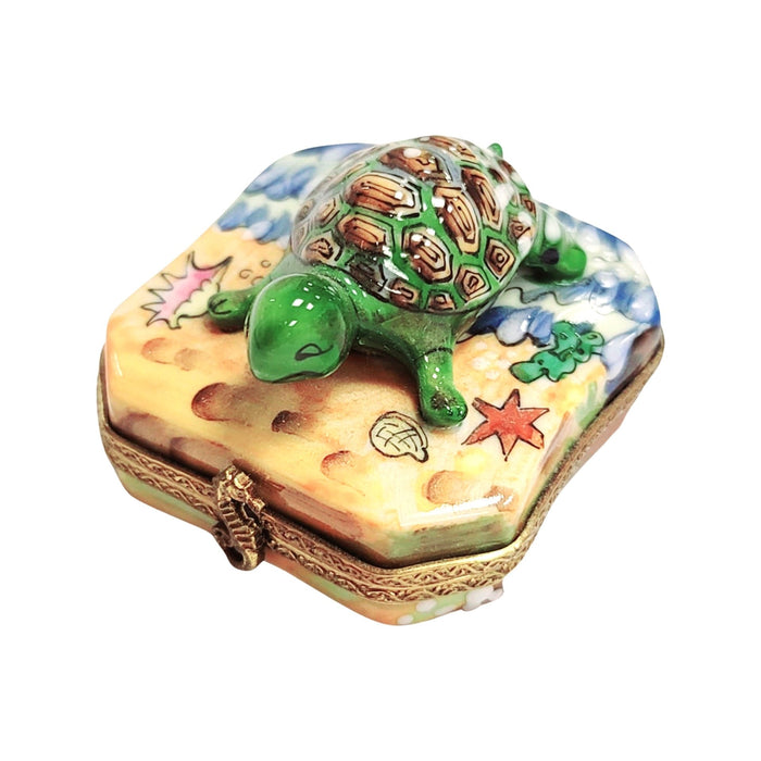 Turtle on Beach Limoges Box Porcelain Figurine-frog LIMOGES BOXES turtle ocean beach-CH3S222