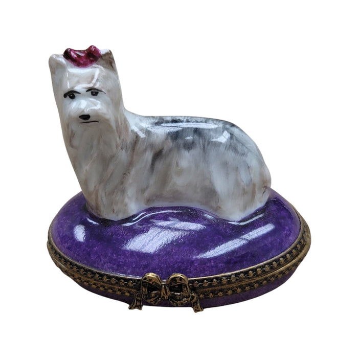 White Yorkshire Terrier Dog-dog LIMOGES BOXES-CH6D126