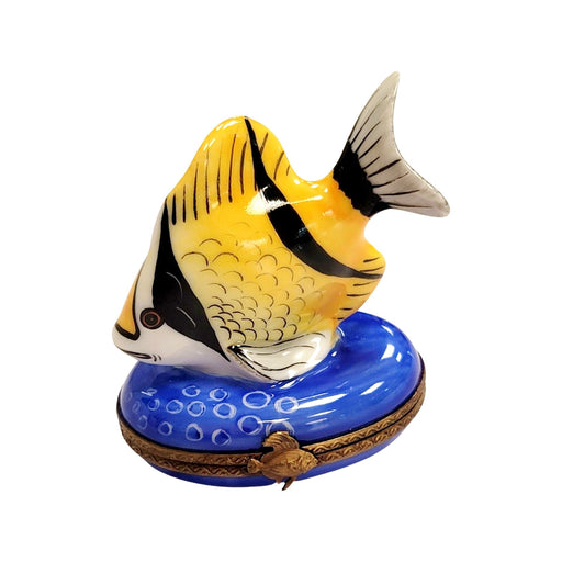 Yellow Black Tropical Fish Limoges Box Porcelain Figurine-fish ocean beach LIMOGES BOXES-CH2P101