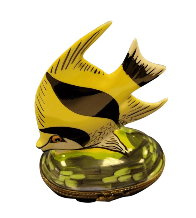 colored gold fish box Retired Yellow Tropical Fish Limoges Box Collectible