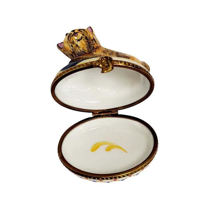 Yorkshire Terrier Limoges Box for Dog Lovers Porcelain Limoges dog French Trinket Box