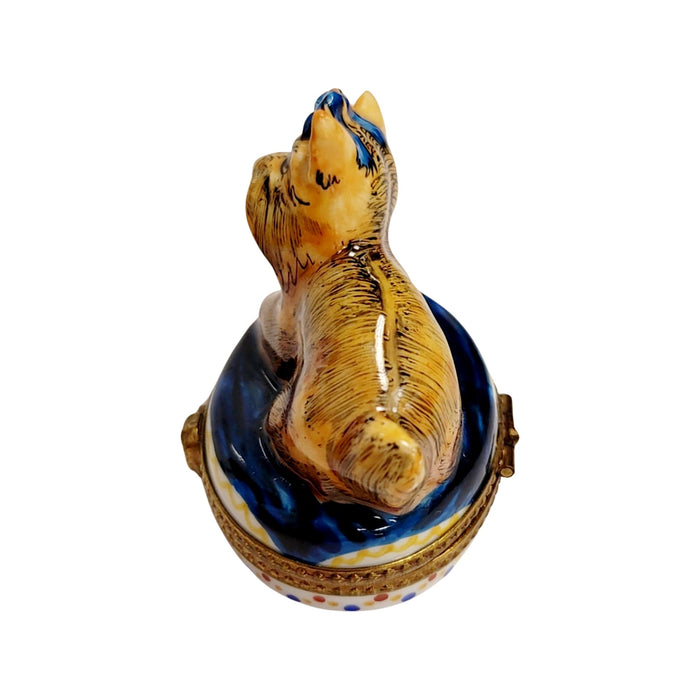 Yorkshire Terrier Limoges Box for Dog Lovers Porcelain Limoges dog French Trinket Box