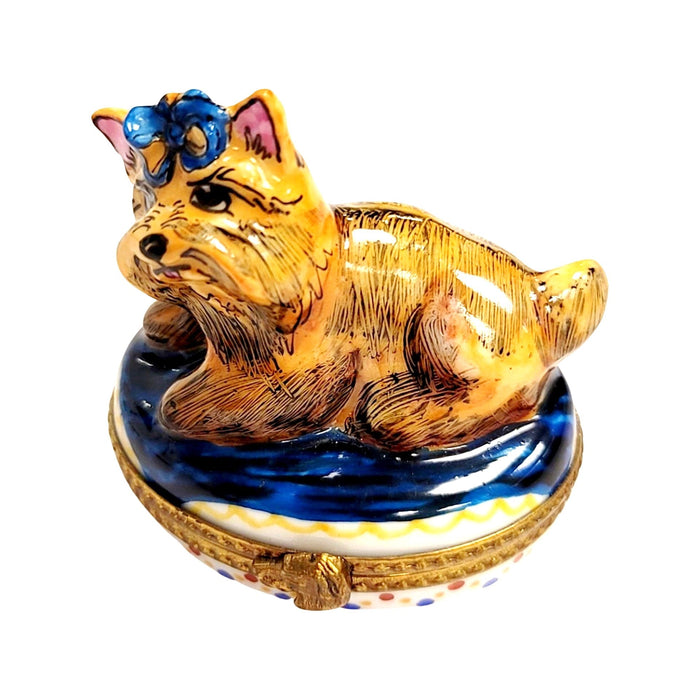 Yorkshire Terrier Limoges Box for Dog Lovers Porcelain Limoges dog French Trinket Box