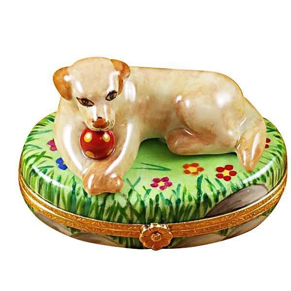 Beige Labrador Dog w Ball Limoges Box – French Porcelain Art
