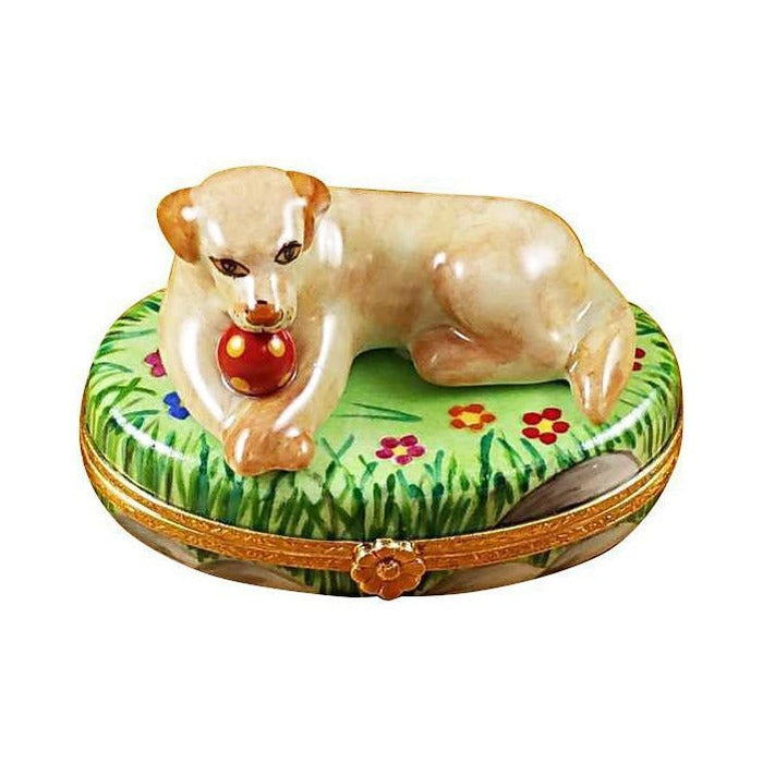 Beige Labrador Dog with Ball by Rochard, an authentic French Limoges box from Limoges Boutique