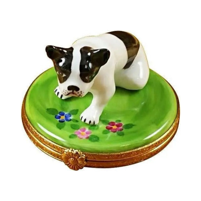Limoges Boutique presents the Rochard Boston Terrier Dog, a genuine Limoges box painted by hand in France